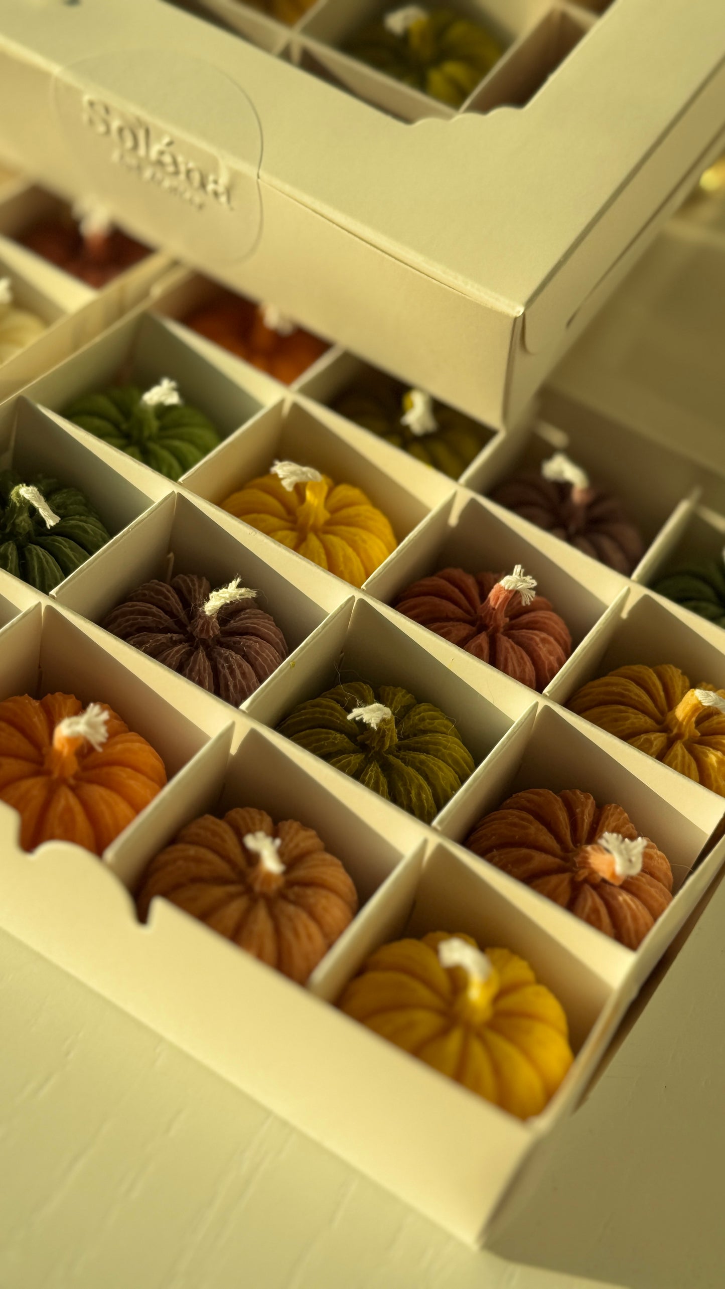 Harvest Twelve — Mini Pumpkin Candle Gift Box