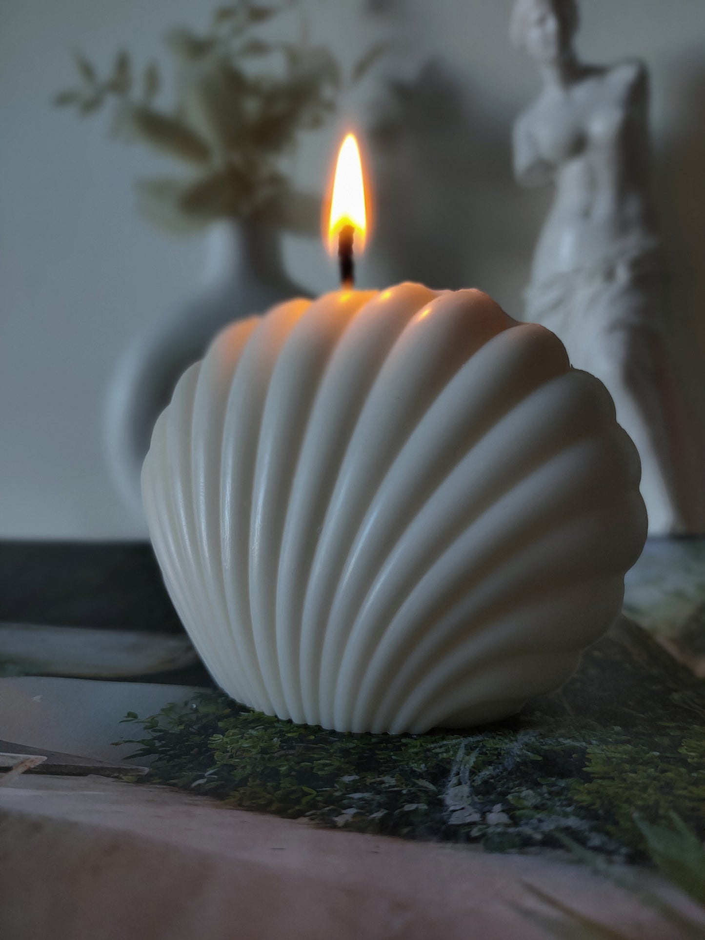 Shell Candle