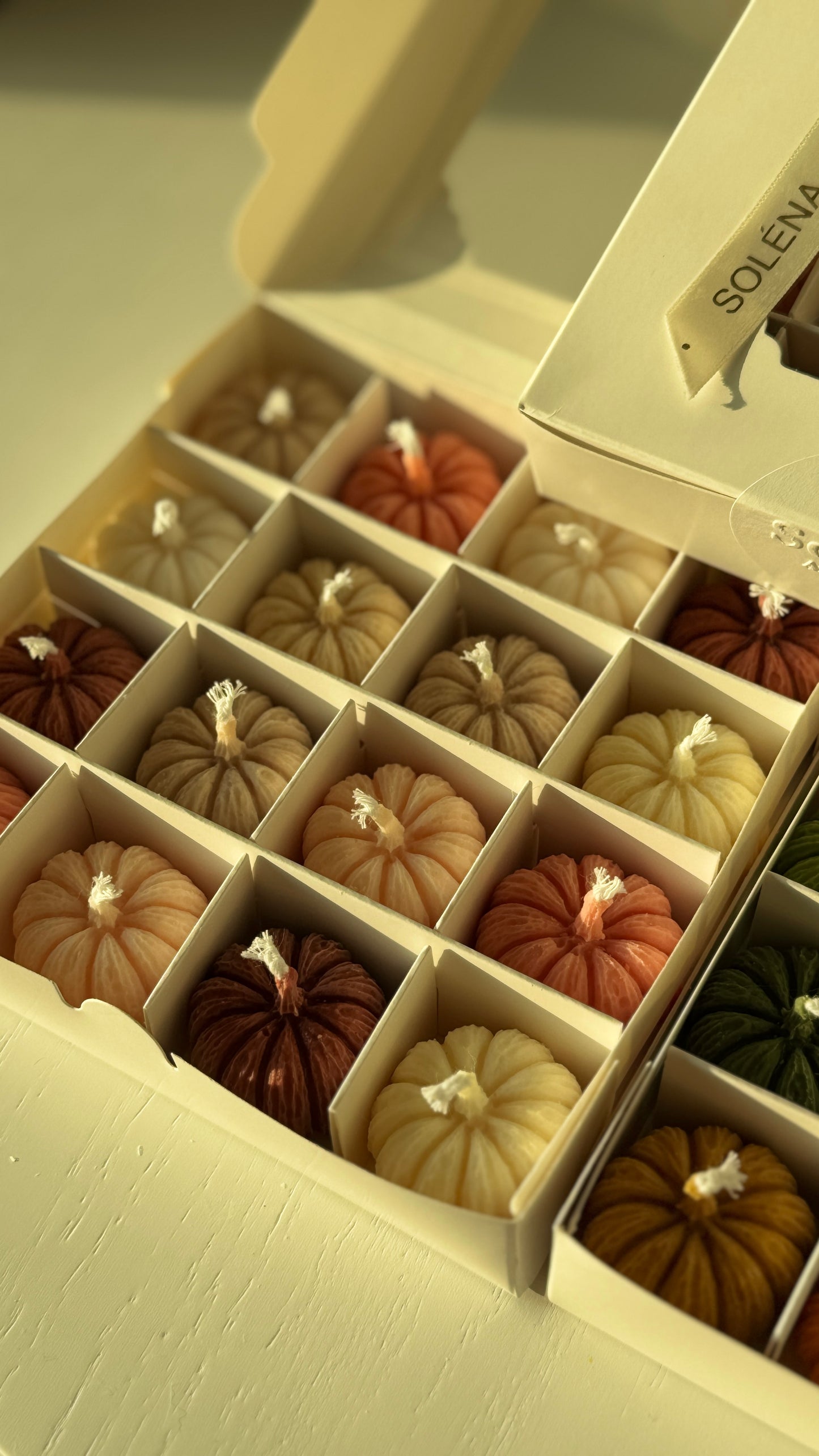 Harvest Twelve — Mini Pumpkin Candle Gift Box