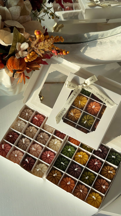 Harvest Twelve — Mini Pumpkin Candle Gift Box