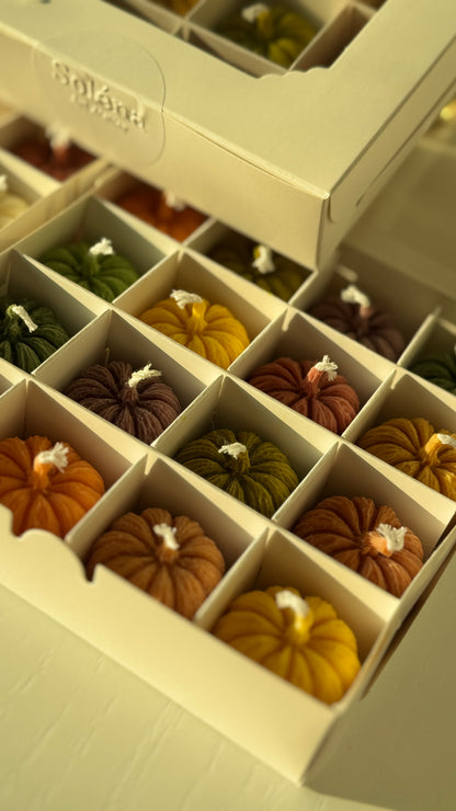 Harvest Twelve — Mini Pumpkin Candle Gift Box