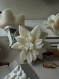 Air Freshener Clips