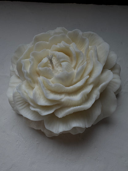 Peony Bloom Candles
