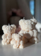 Teddy Bloom Collection Candles