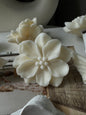 Air Freshener Clips