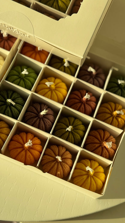 Harvest Twelve — Mini Pumpkin Candle Gift Box