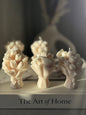 Luma | Tulip Bloom Collection