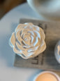 Fleur Sculpted Jar Collection