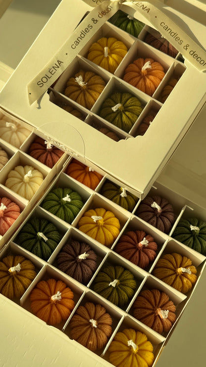 Harvest Twelve — Mini Pumpkin Candle Gift Box