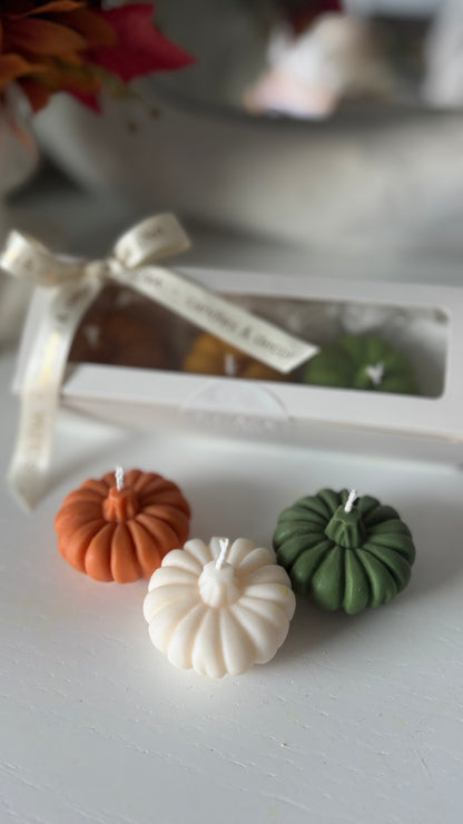 Harvest Trio — Pumpkin Candle Gift Box