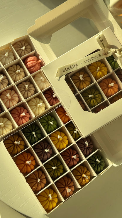 Harvest Twelve — Mini Pumpkin Candle Gift Box