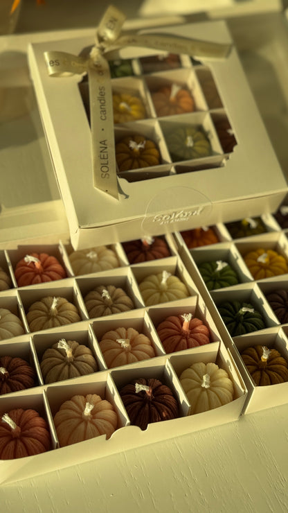 Harvest Twelve — Mini Pumpkin Candle Gift Box