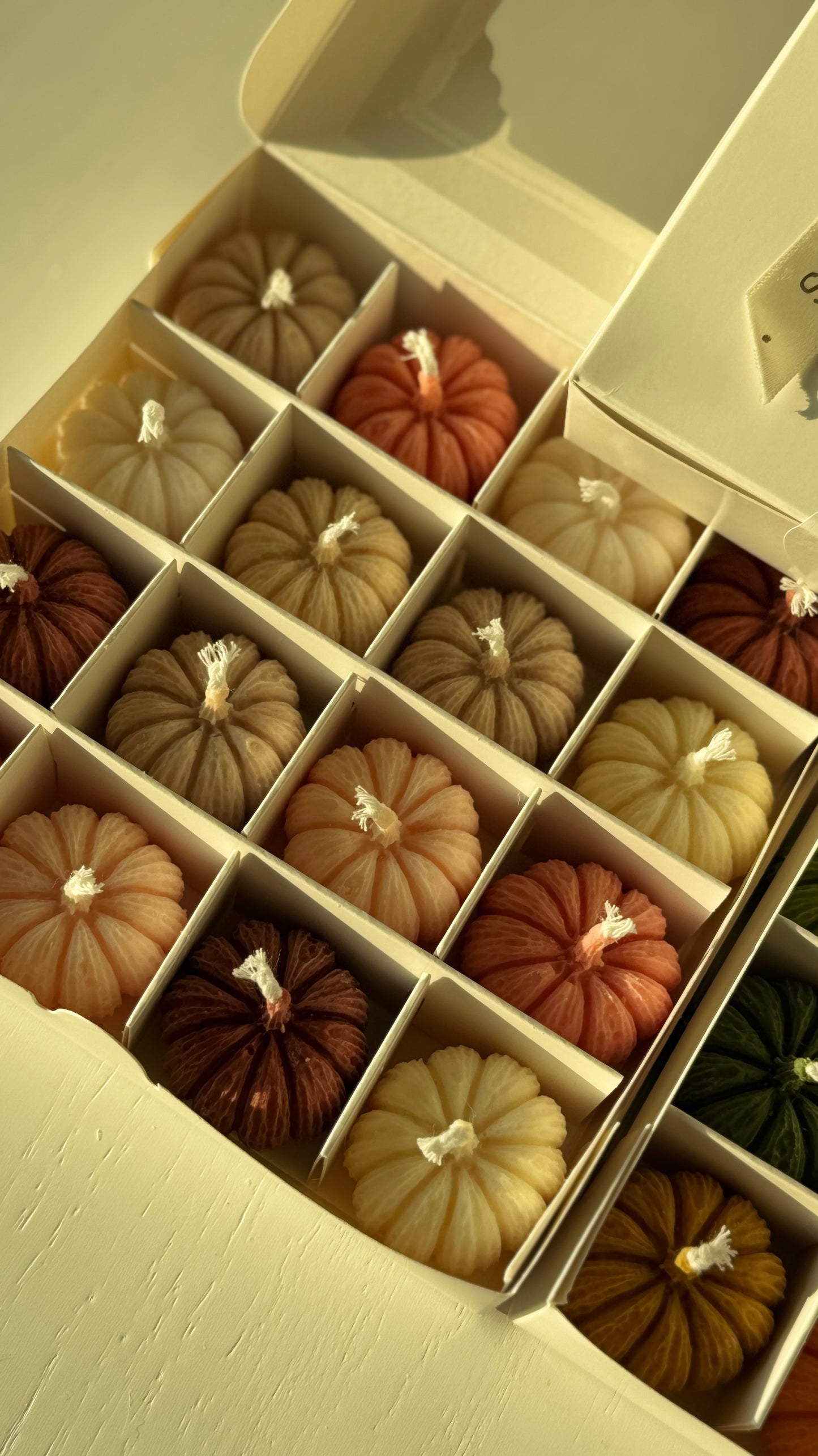 Harvest Twelve — Mini Pumpkin Candle Gift Box