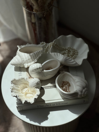 Seashell Trays