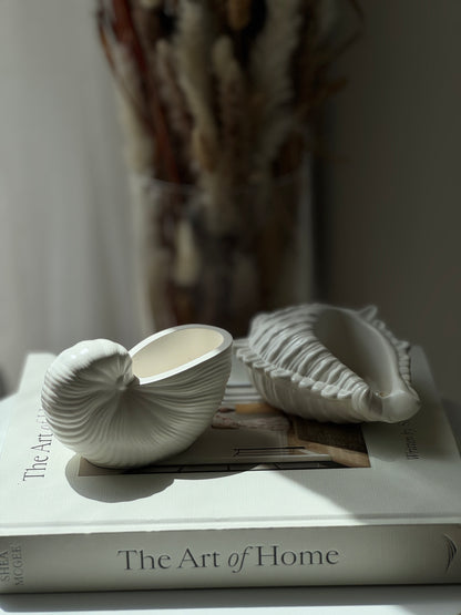 Seashell Trays