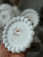 Lumière Botanica