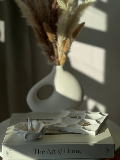 Solenne Collection
