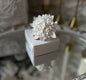 Air Freshener Clips