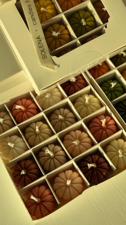 Harvest Twelve — Mini Pumpkin Candle Gift Box