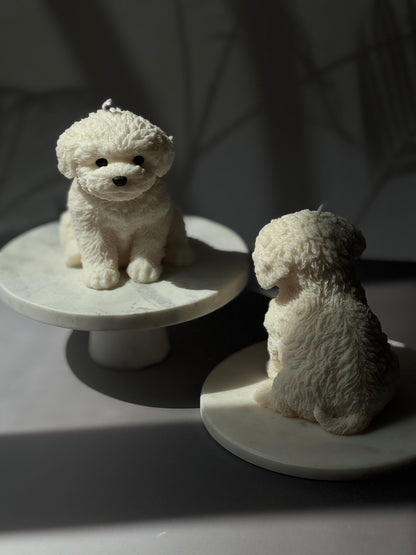 Pet Lovers Collection