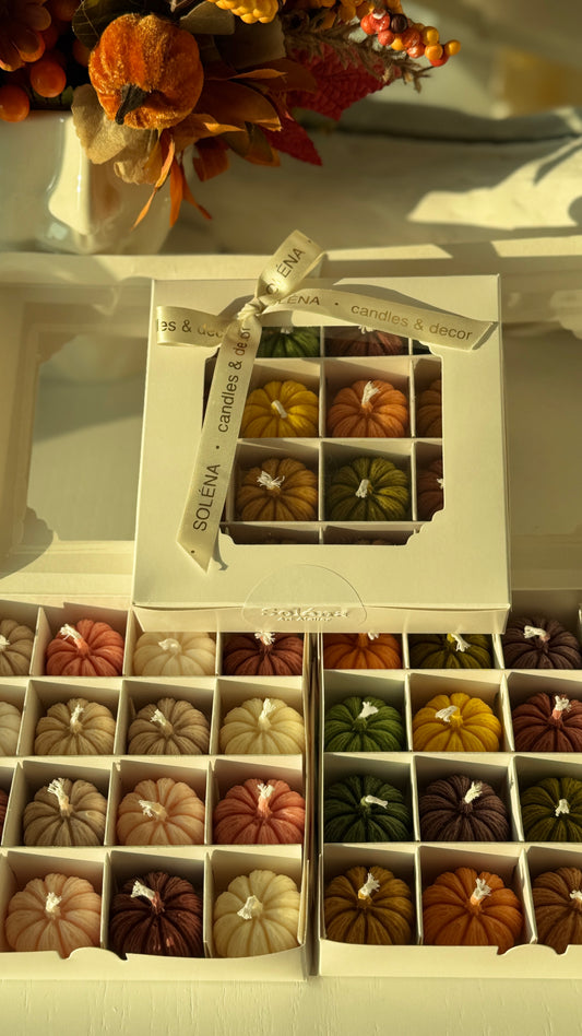 Harvest Twelve — Mini Pumpkin Candle Gift Box