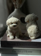 Pet Lovers Collection