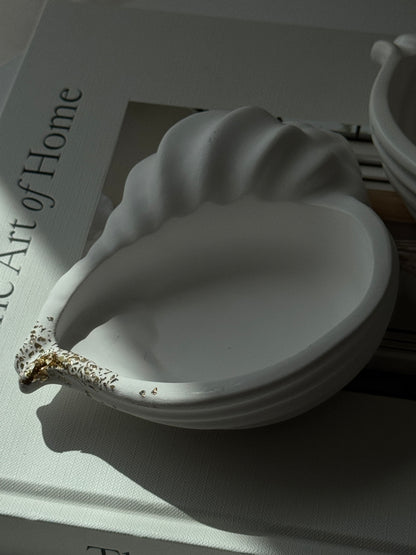 Seashell Trays