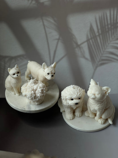 Pet Lovers Collection