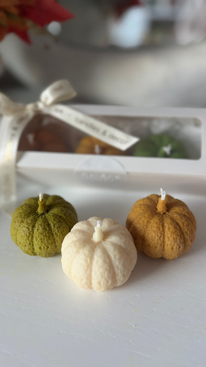 Harvest Trio — Pumpkin Candle Gift Box