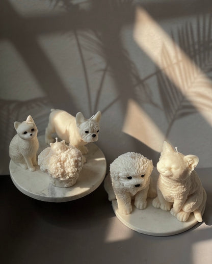 Pet Lovers Collection