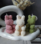 Blossom Pals Candles