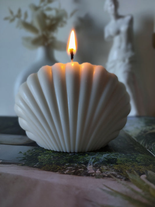 Shell Candle